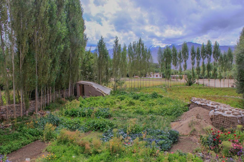 Tsetan Guest House เลห์ ภายนอก รูปภาพ