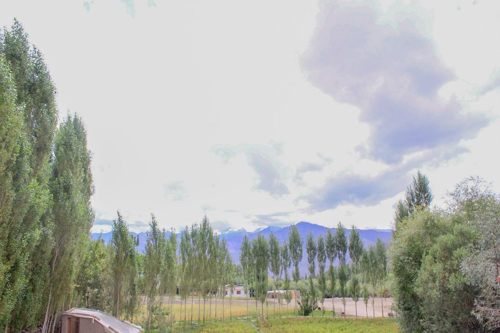 Tsetan Guest House เลห์ ภายนอก รูปภาพ